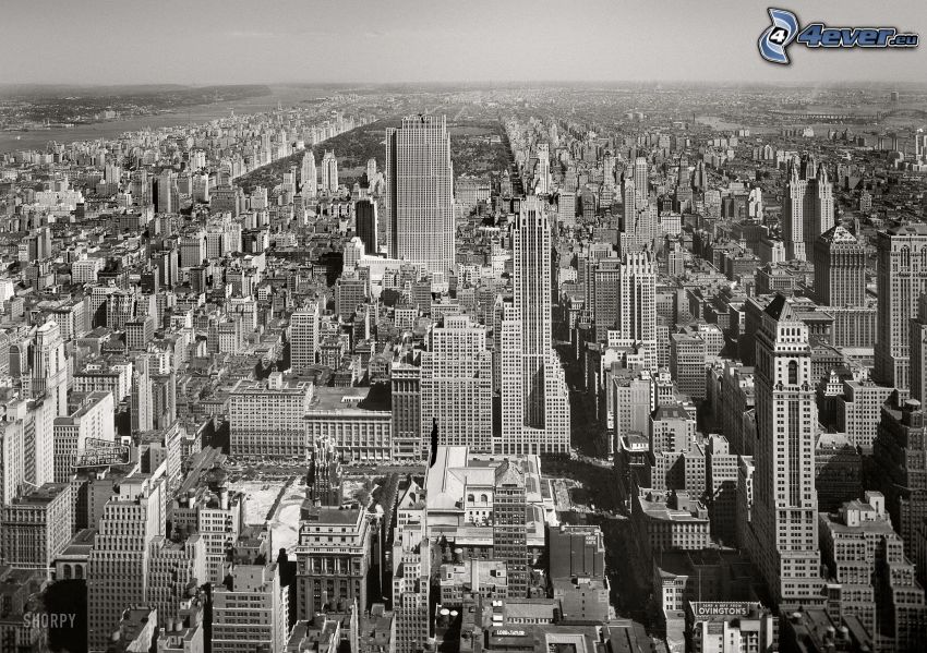 New York, noir et blanc