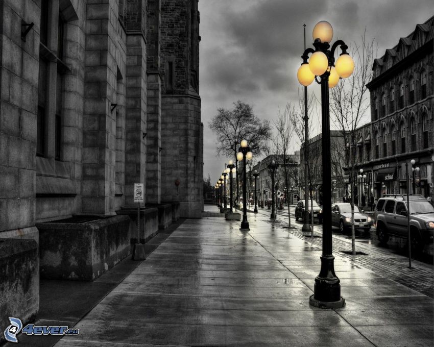 rue, lampadaires