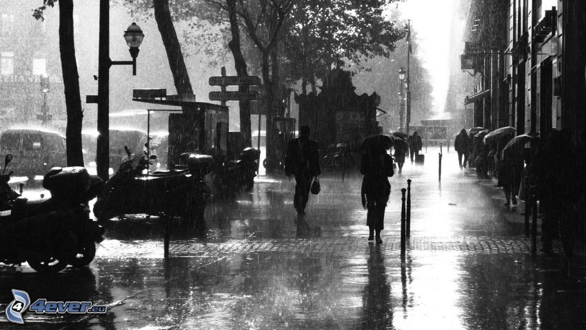rue, pluie