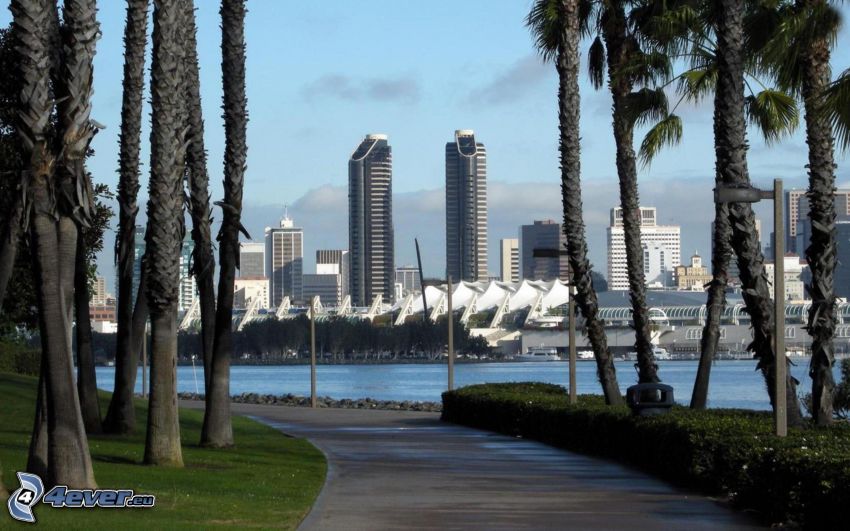 San Diego, palmiers, gratte-ciel, trottoir
