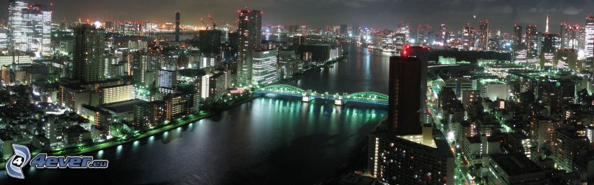 Tokyo, ville dans la nuit, gratte-ciel
