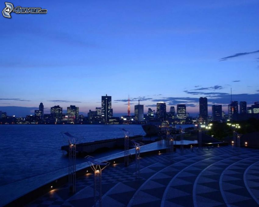 Tokyo, ville de nuit, gratte-ciel