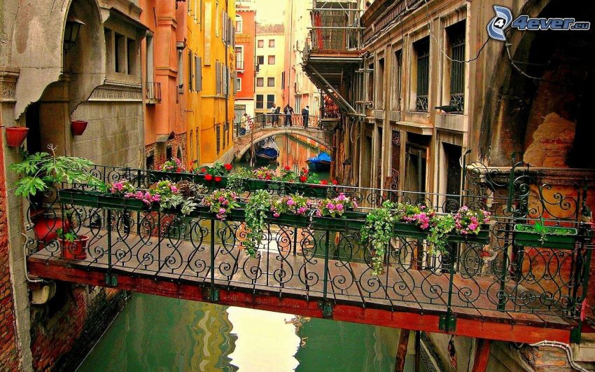 Venise, pont piétonnier, fleurs
