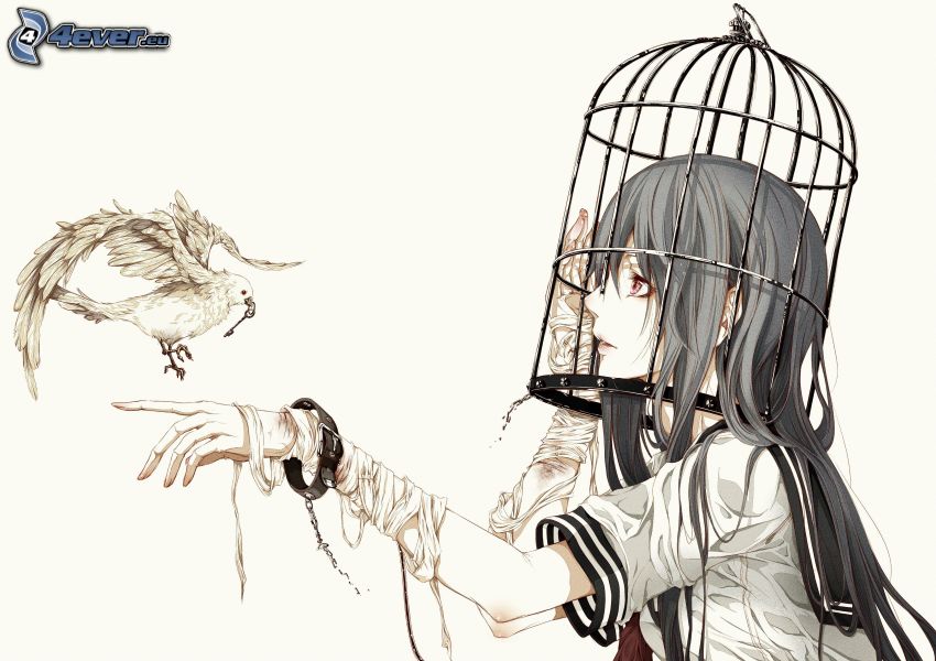 anime fille, colombe, cage, clé