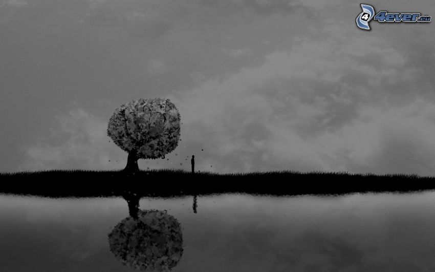 arbre solitaire, silhouette d'un homme