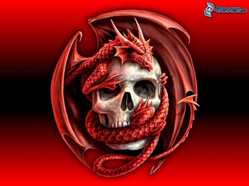 crâne, dragon rouge
