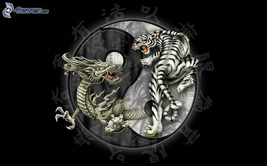 dragon et tigre, équilibre, yin yang, art