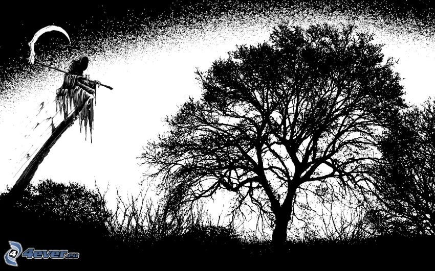 Grim Reaper, tête de mort, faux, mort, arbre rameux