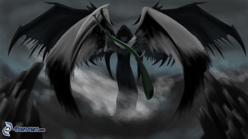 tête de mort, ailes noires
