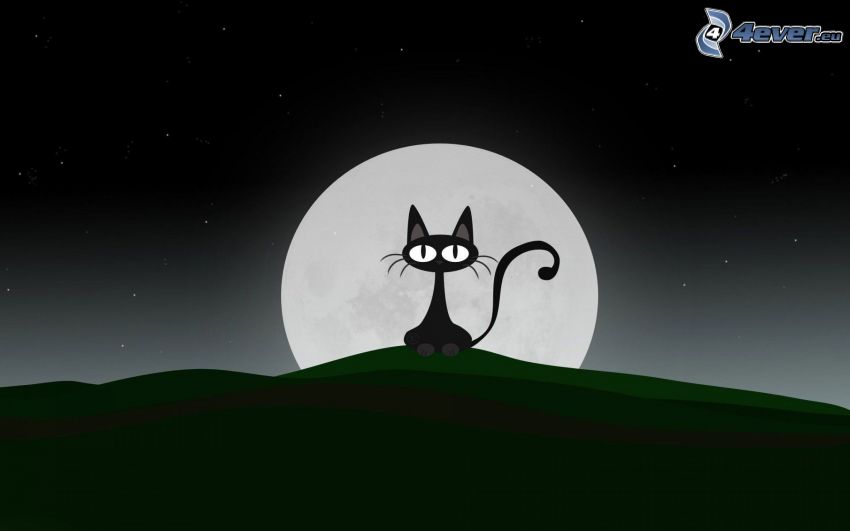 chat noir, lune, nuit, étoiles