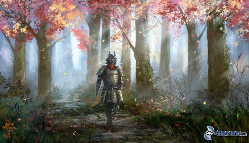 chevalier, forêt d'automne, rayons de soleil dans la forêt