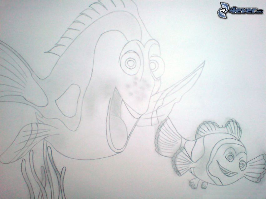 Nemo, dessin, image