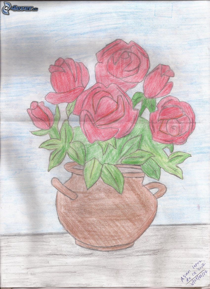 roses rouges, pot à fleurs
