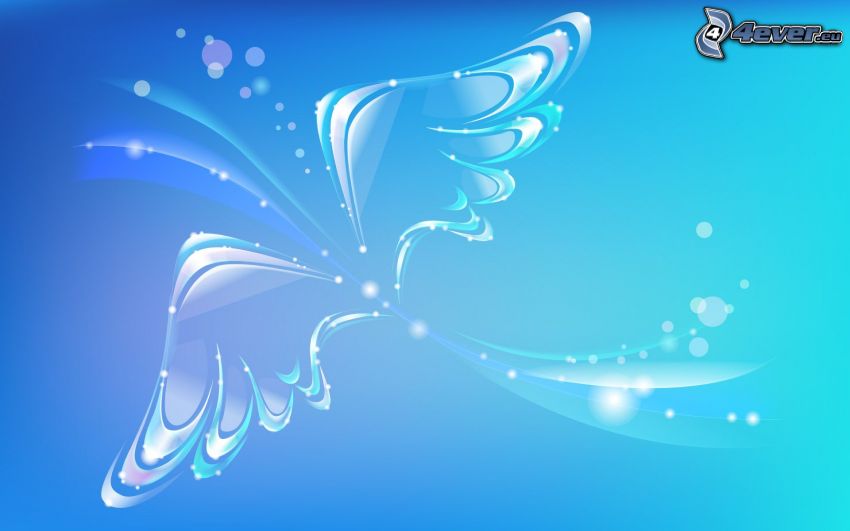 ailes, fond bleu