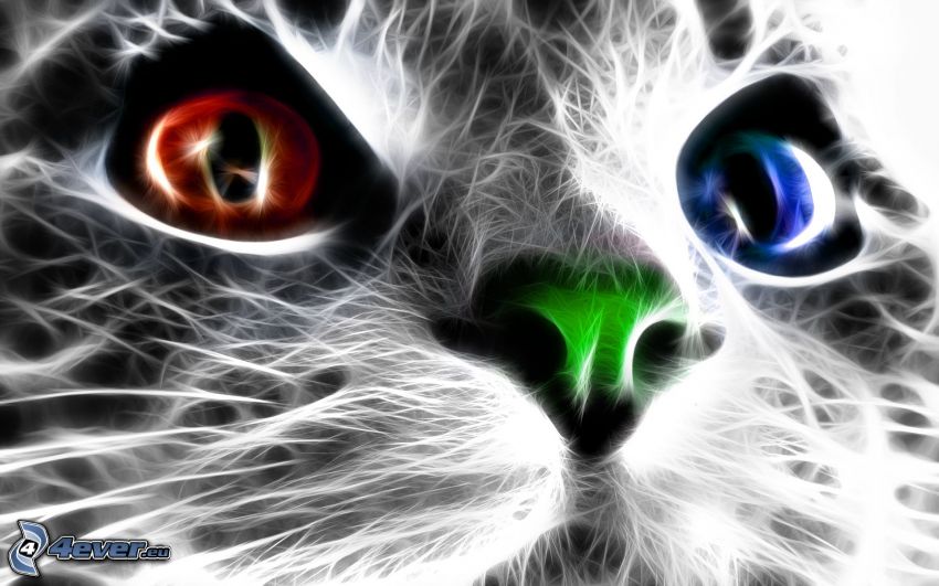 chat fractal, yeux colorés