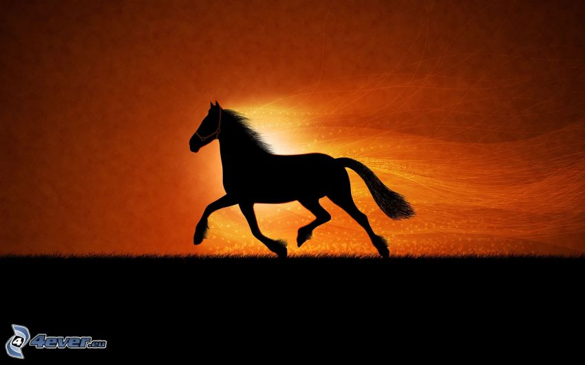 cheval courant, silhouettes de chevaux