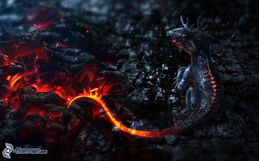 dragon, charbon chauffé au rouge, feu, queue, fantaisie
