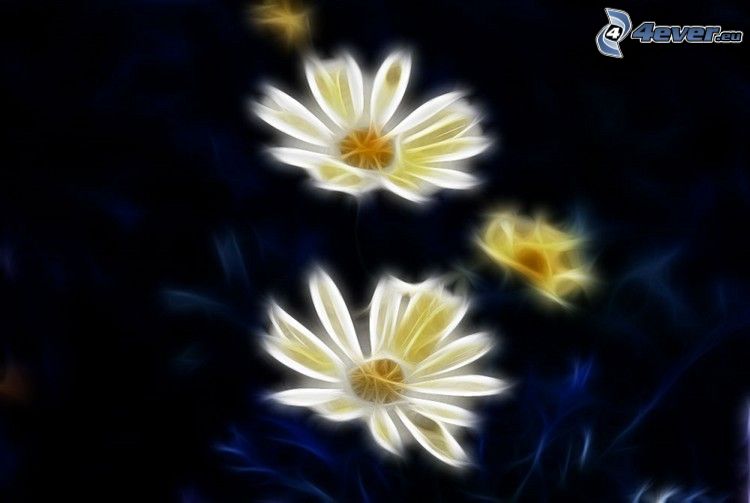 fleurs blanches, fractal