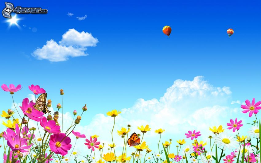fleurs des champs, papillons, ballons à air chaud