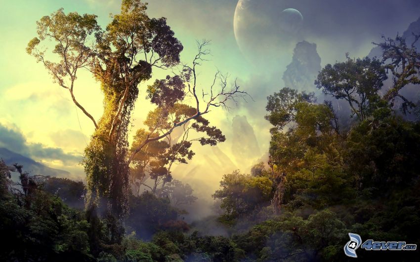 Forêt humide, jungle, arbres, planètes, sci-fi