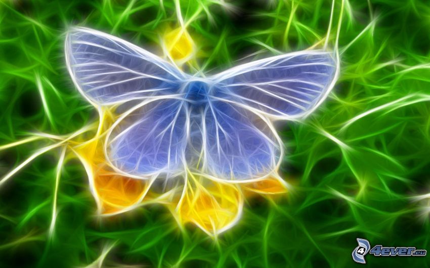 papillon fractal, papillon bleu