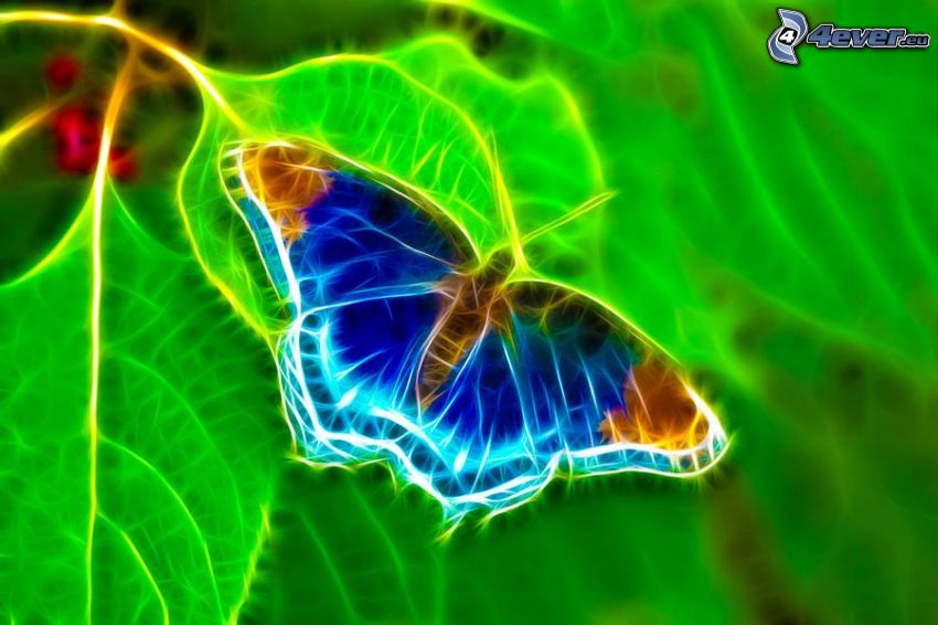 papillon fractal