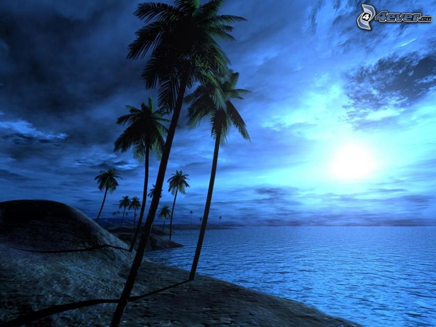 paysage sombre, palmiers au bord de mer, lever du soleil