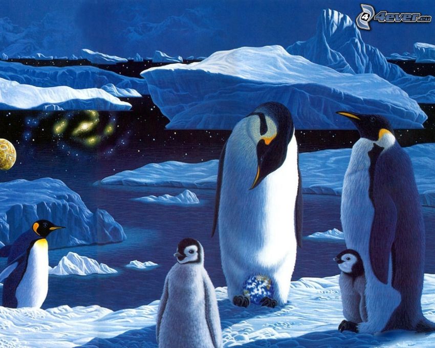 pingouins, mer, glaciers