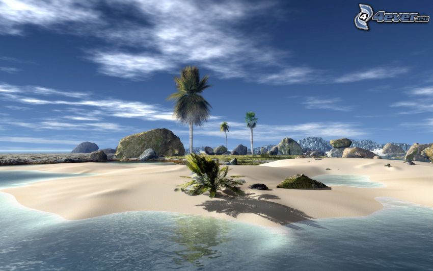 plage de sable, palmiers sur la plage, mer, rochers
