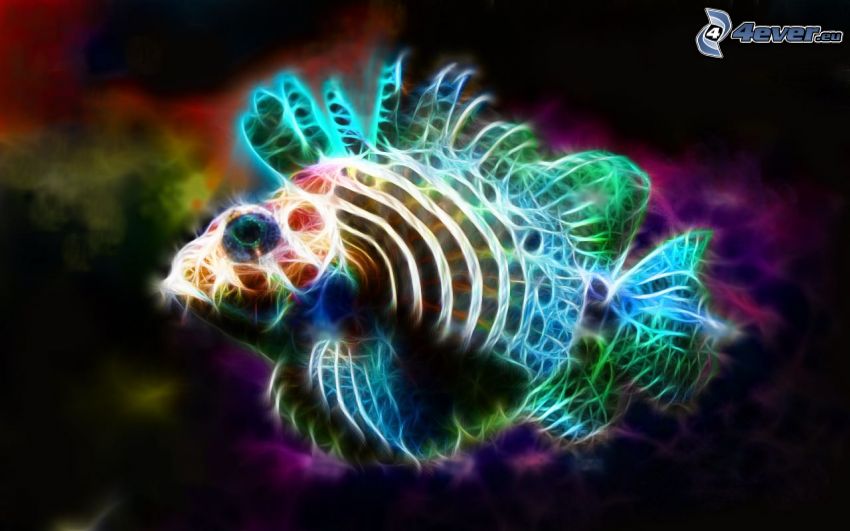 poisson, animaux fractals