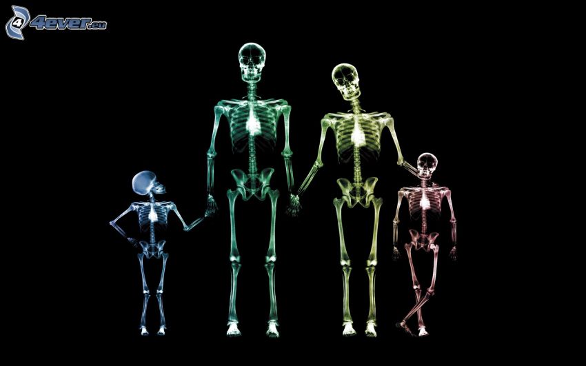squelettes, famille