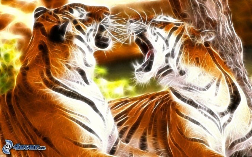 tiger fractale, rugir