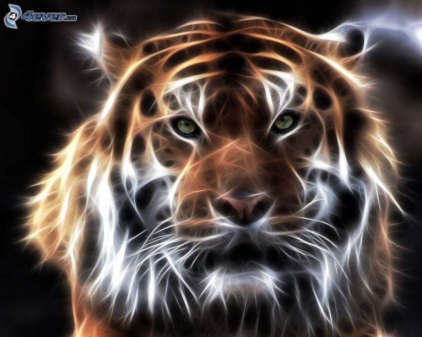 tiger fractale