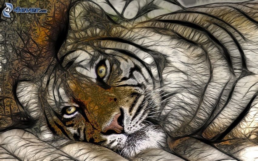 tiger fractale