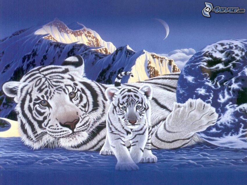 tigre blanc, lune, Terre, montagnes