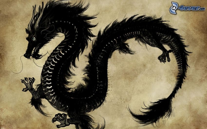 dragon noir
