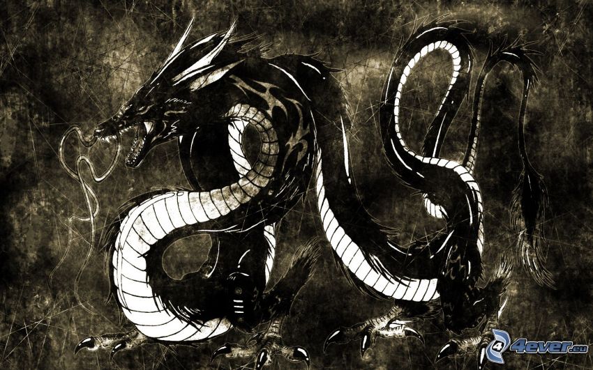 dragon noir