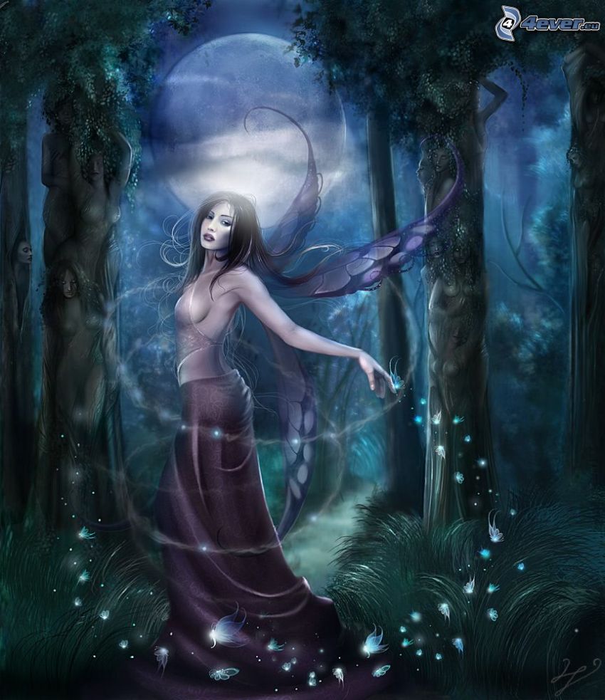 fée de nuit, fée dans les bois, lune