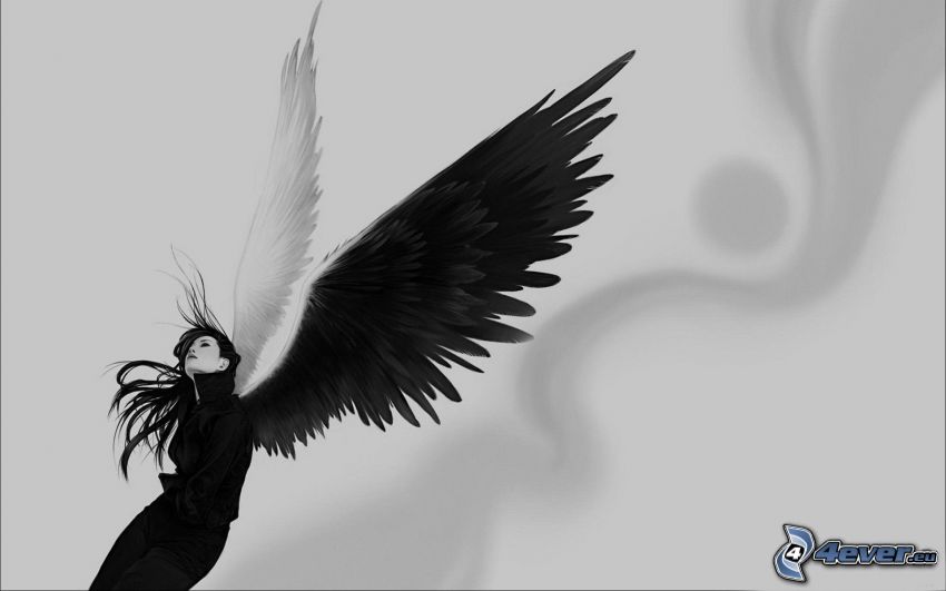 femme avec des ailes, noir et blanc
