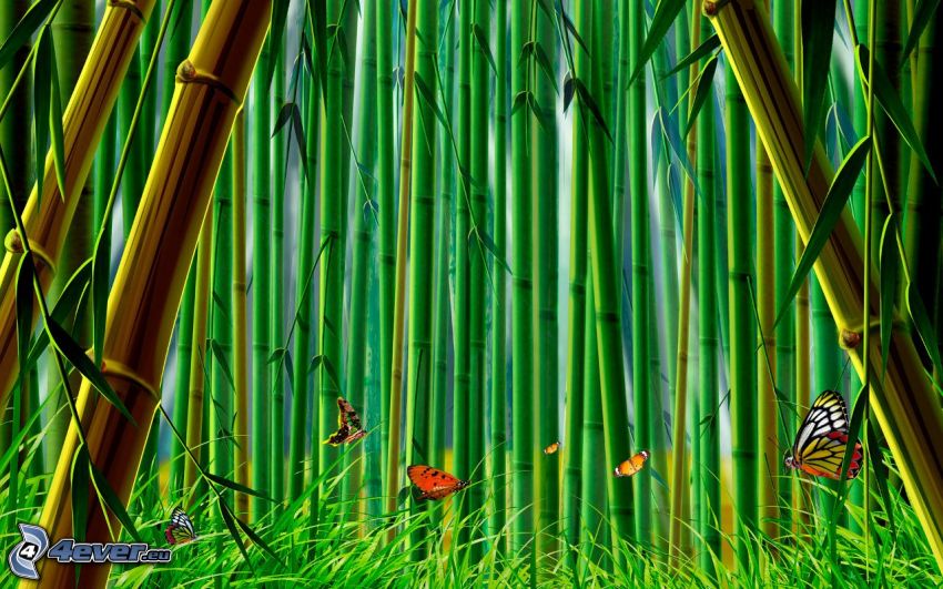 forêt de bambous, papillons