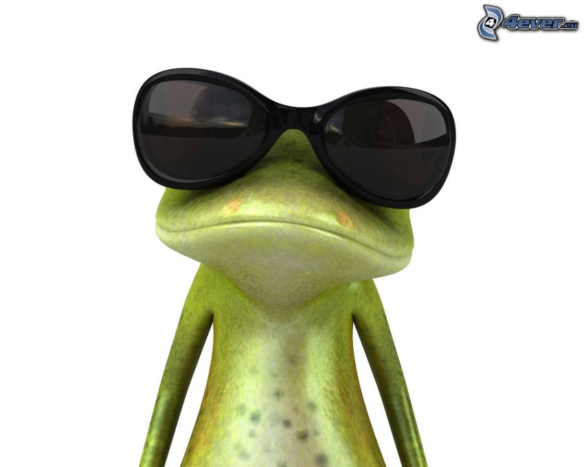 grenouille, lunettes de soleil