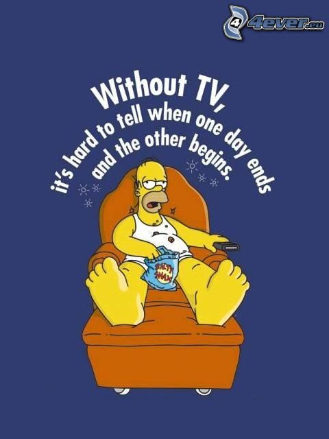Homer Simpson, Les Simpsons, la télévision
