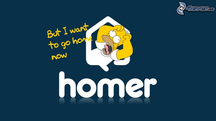 Homer Simpson, text