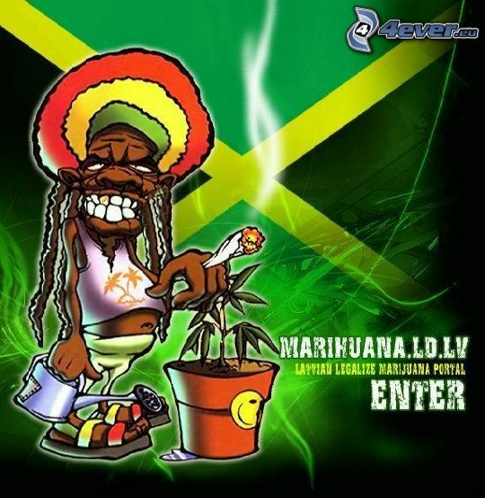 Jamaïque, rasta, ganja