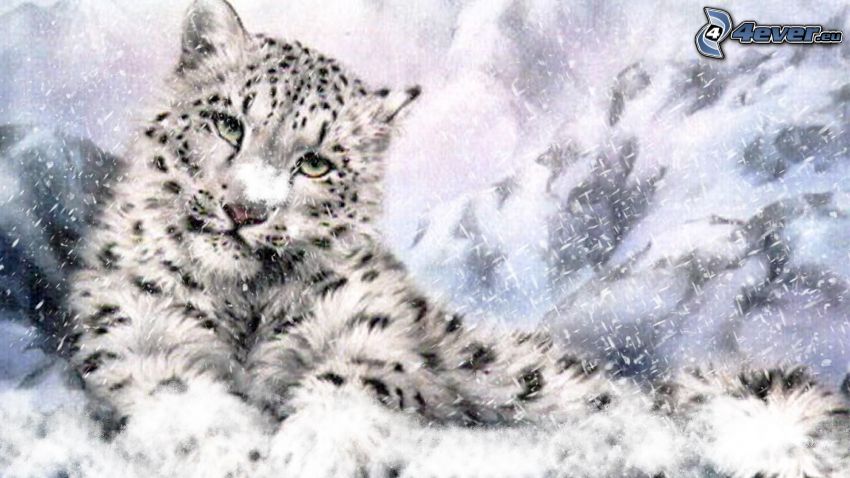 léopard des neiges, neige