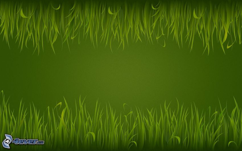 l'herbe, fond vert