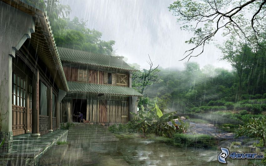 maison en bois, pluie