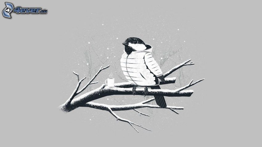 oiseau sur une branche, tasse du thé, chute de neige