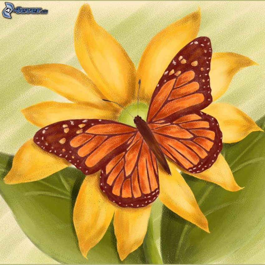 papillon, fleur
