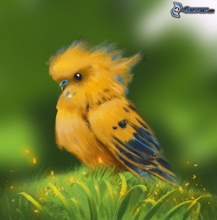 perroquet, oiseau jaune